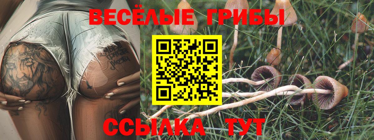 Нарткала  Псилоцибиновые грибы прущие грибы  Вход с VPN 